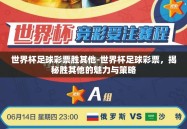 世界杯足球彩票胜其他-世界杯足球彩票，揭秘胜其他的魅力与策略