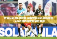世界杯彩票6500倍-洞察世界杯彩票新奇观，6500倍的狂欢与风险并存