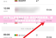 微信怎么买世界杯足球-微信购票新视角，解锁世界杯足球观赛之旅
