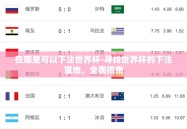 在哪里可以下注世界杯-寻找世界杯的下注宝地，全面指南