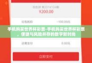 手机购买世界杯彩票-手机购买世界杯彩票，便捷与风险并存的数字新时尚