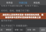 微信怎么买世界杯足球-在微信轻松购票，揭秘如何参与世界杯足球赛事的观赛之旅