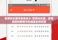 世界杯彩票中奖有多少-世界杯彩票，梦想成真的瞬间与机遇成本的权衡