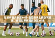 世界杯胜负彩票14场-世足赛场上的数字博弈，透视世界杯胜负彩票14场