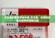天天盈彩票世界杯中奖-天天盈，彩票的乐趣与世界杯激情交融