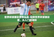 世界杯球赛彩票怎么玩-玩转世界杯球赛彩票，从入门到进阶
