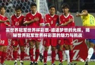 买世界冠军世界杯彩票-追逐梦想的光辉，揭秘世界冠军世界杯彩票的魅力与挑战
