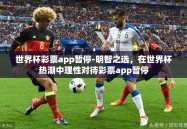 世界杯彩票app暂停-明智之选，在世界杯热潮中理性对待彩票app暂停