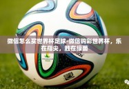 微信怎么买世界杯足球-微信购彩世界杯，乐在指尖，胜在绿茵