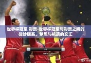世界杯冠军 彩票-世界杯冠军与彩票之间的微妙联系，梦想与机遇的交汇