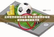 正规世界杯赌球玩法-聚焦正规世界杯赌球，解锁健康观赛新方式