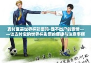 支付宝买世界杯彩票吗-足不出户的激情——谈支付宝购世界杯彩票的便捷与注意事项