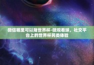 微信哪里可以赌世界杯-微观看球，社交平台上的世界杯另类体验