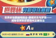 世界杯彩票如何投注-掌握欢乐与梦想——揭秘世界杯彩票如何正确投注
