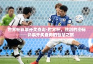 世界杯彩票开奖查询-世界杯，胜利的密码——彩票开奖查询的智慧之旅