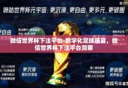 微信世界杯下注平台-数字化足球盛宴，微信世界杯下注平台洞察