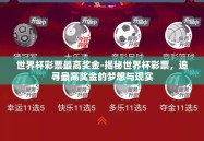 世界杯彩票最高奖金-揭秘世界杯彩票，追寻最高奖金的梦想与现实