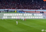 微信在哪买球世界杯-足球激情，指尖间的狂欢——揭秘微信平台上的世界杯购球体验