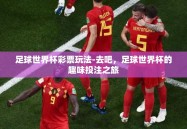 足球世界杯彩票玩法-去吧，足球世界杯的趣味投注之旅