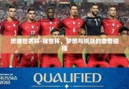 想赌世界杯-赌世杯，梦想与挑战的激情碰撞