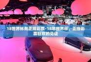 18世界杯有正规彩票-18年世界杯，正当彩票狂欢的见证