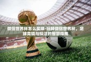 微信世界杯怎么买球-玩转微信世界杯，足球竞猜与投注的智慧指南
