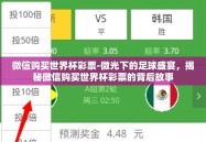 微信购买世界杯彩票-微光下的足球盛宴，揭秘微信购买世界杯彩票的背后故事