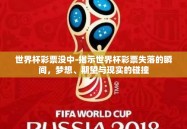 世界杯彩票没中-揭示世界杯彩票失落的瞬间，梦想、期望与现实的碰撞