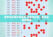 世界杯彩票中奖结果-世界杯彩票，梦想成真的瞬间