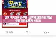世界杯网站彩票停售-世界杯期间彩票网站停售背后的思考与影响