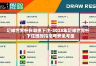 足球世界杯在哪里下注-2023年足球世界杯，下注选择指南与安全考量
