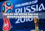 法国世界杯 彩票-赢在法国 梦想大乐透——欧洲世界杯彩票背后的激情与梦想