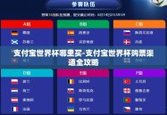 支付宝世界杯哪里买-支付宝世界杯购票渠道全攻略