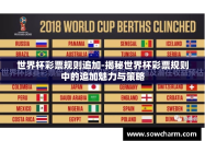 世界杯彩票规则追加-揭秘世界杯彩票规则中的追加魅力与策略