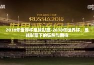 2018年世界杯足球彩票-2018年世界杯，足球彩票下的狂热与期待