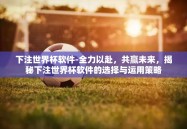 下注世界杯软件-全力以赴，共赢未来，揭秘下注世界杯软件的选择与运用策略