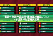 世界杯彩票开奖结果-揭晓足球狂欢，2022年世界杯彩票开奖实录