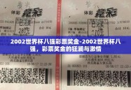 2002世界杯八强彩票奖金-2002世界杯八强，彩票奖金的狂澜与激情