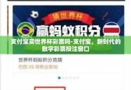 支付宝买世界杯彩票吗-支付宝，新时代的数字彩票投注窗口