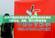 世界杯足球彩票的买法-世界杯足球彩票的巧妙玩法，策略、技巧与风险考量