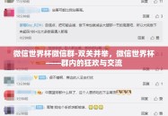微信世界杯微信群-双关并举，微信世界杯——群内的狂欢与交流