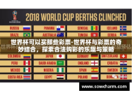 世界杯可以买那些彩票-世界杯与彩票的奇妙结合，探索合法购彩的乐趣与策略