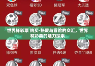 世界杯彩票 购买-热爱与冒险的交汇，世界杯彩票的魅力探索