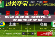 淘宝彩票可以买世界杯-搭建希望之桥，淘宝彩票与世界杯的奇妙邂逅
