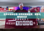 世界杯猜球彩票-世界杯猜球彩票，激情与理性的交织