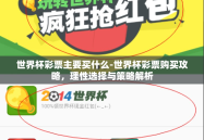 世界杯彩票主要买什么-世界杯彩票购买攻略，理性选择与策略解析