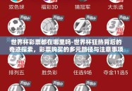 世界杯彩票都在哪里吗-世界杯狂热背后的奇迹探索，彩票购买的多元路径与注意事项
