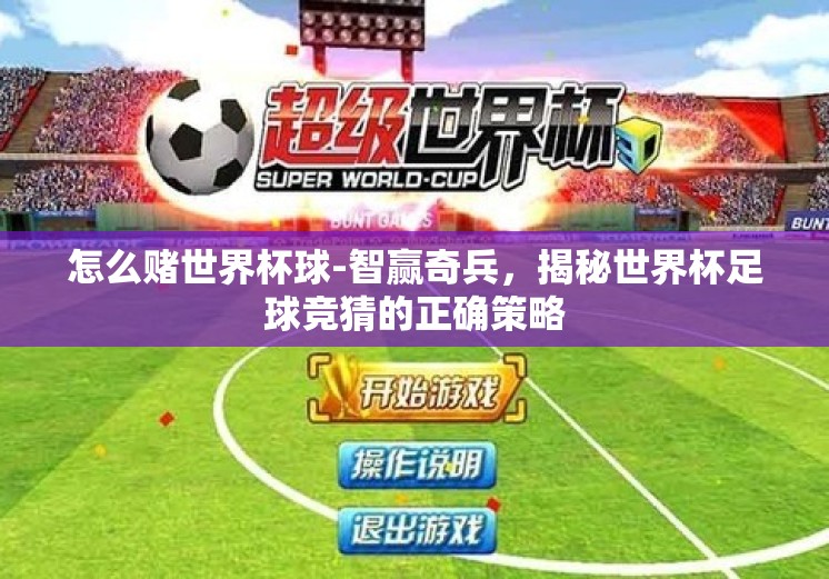 怎么赌世界杯球-智赢奇兵，揭秘世界杯足球竞猜的正确策略