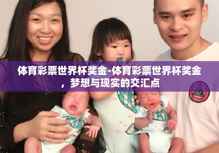 体育彩票世界杯奖金-体育彩票世界杯奖金，梦想与现实的交汇点