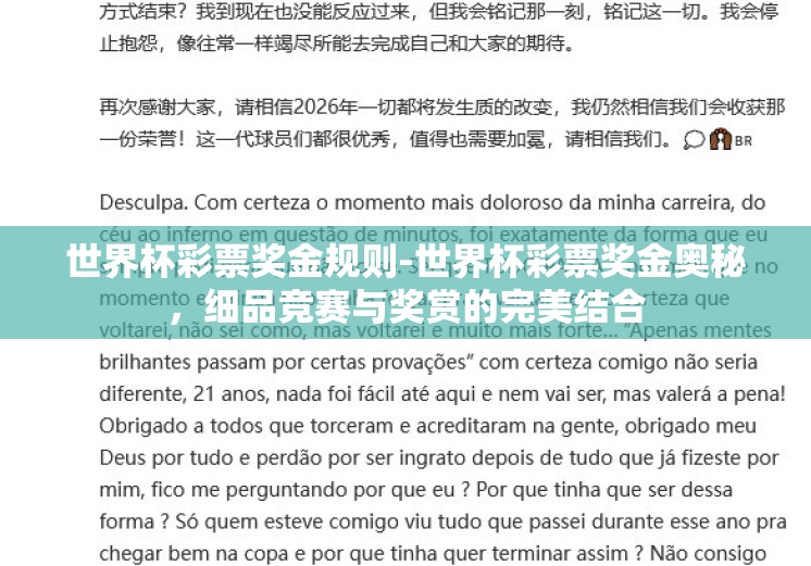 世界杯彩票奖金规则-世界杯彩票奖金奥秘，细品竞赛与奖赏的完美结合